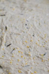 Polenta & Rosemary Sourdough Bread