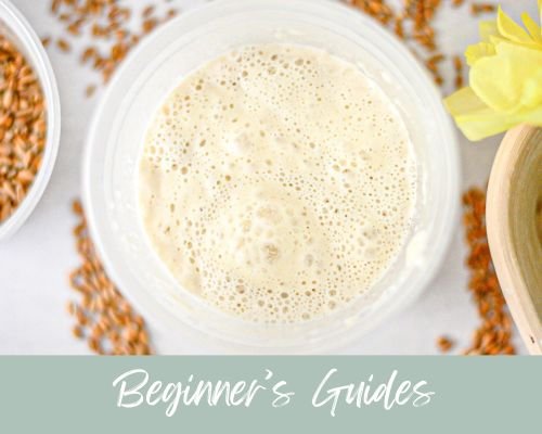 Sourdough Starter Guides